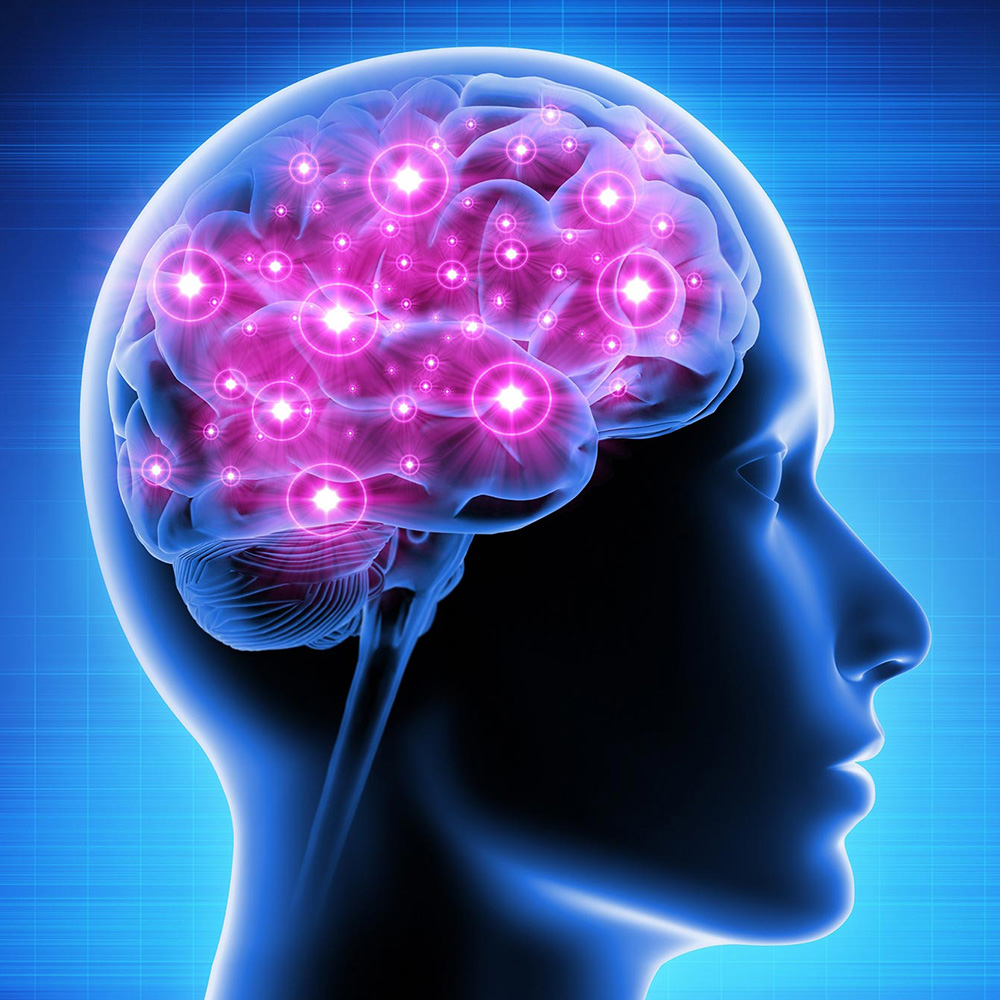 Dayanıklılık Performansında Beynin Rolü