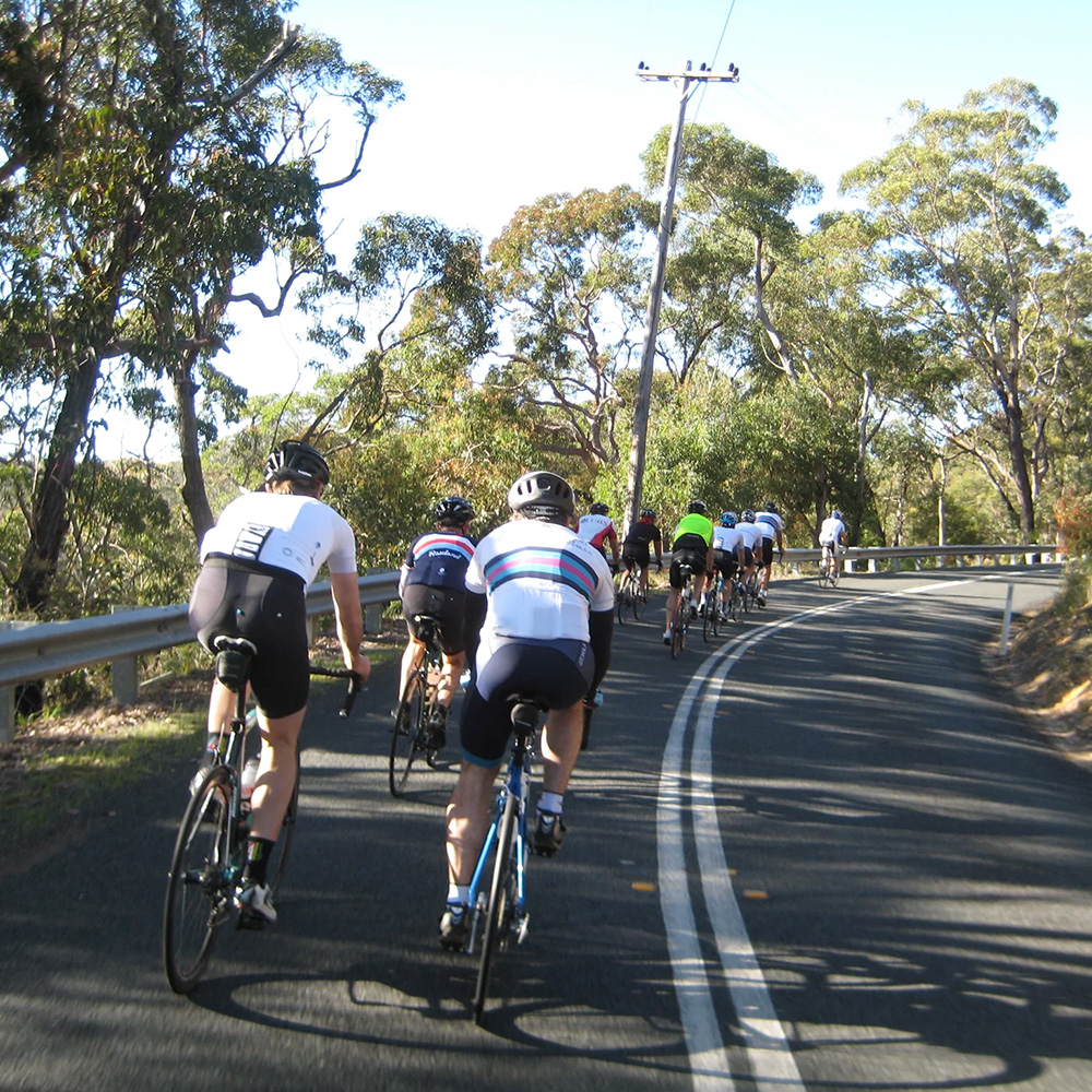 Grup Sürüşü Dinamiği